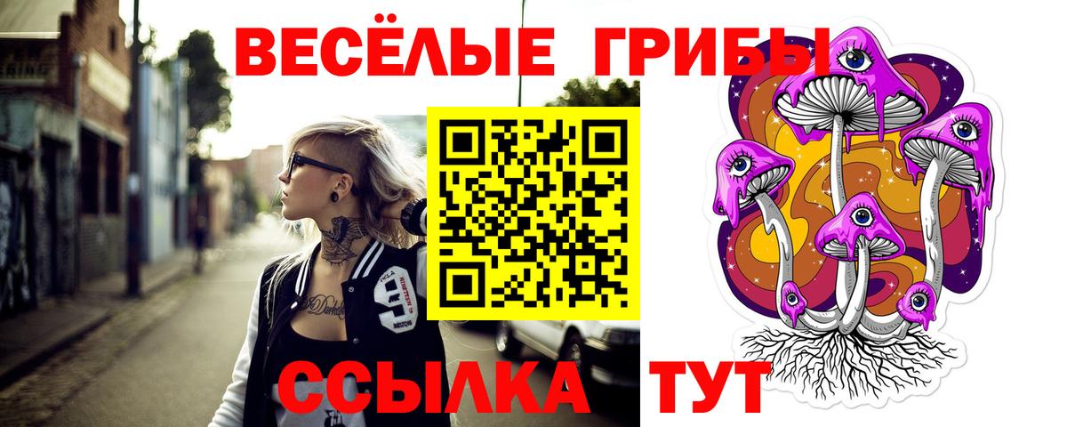 Псилоцибиновые грибы мухоморы Коркино